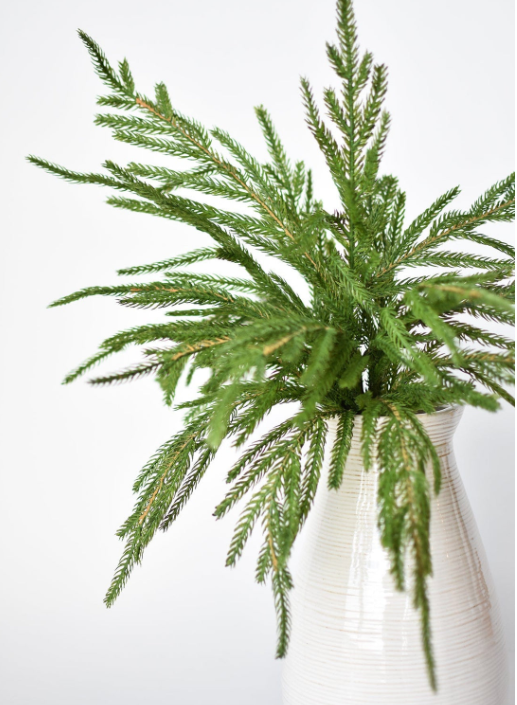 20" Faux Green Norfolk Pine Bush