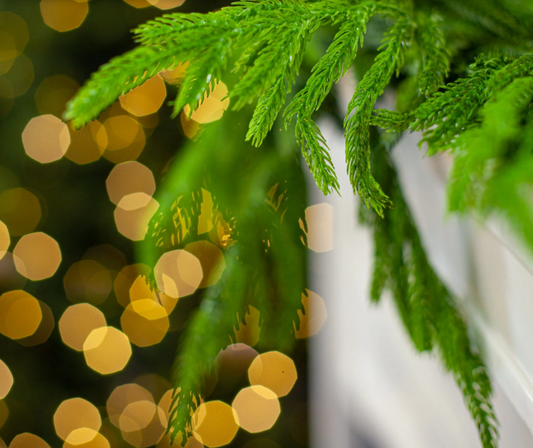 9' Green Norfolk Garland Natural Touch (Unlit)