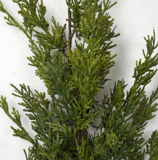 36 Inch Natural Touch Cypress Spray