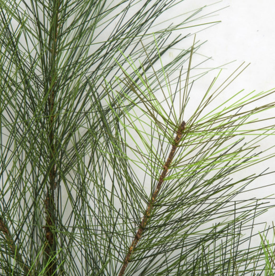 30-Inch-Long Needle PVC Pine Branch