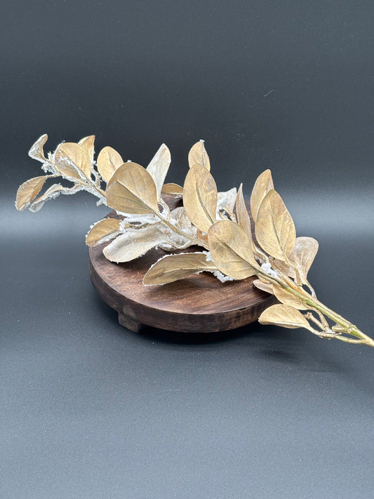 35" Snowy Eucalyptus Spray, Gold