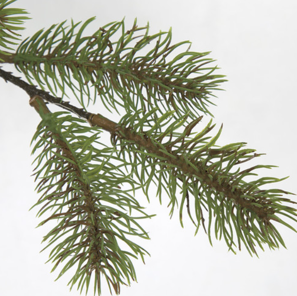 43" Pine Spray, Green