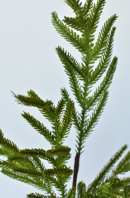 25" Faux Green Norfolk Pine - Cypress Spray Stem
