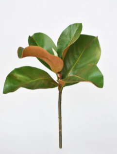 14" Faux Magnolia Leaf Stem
