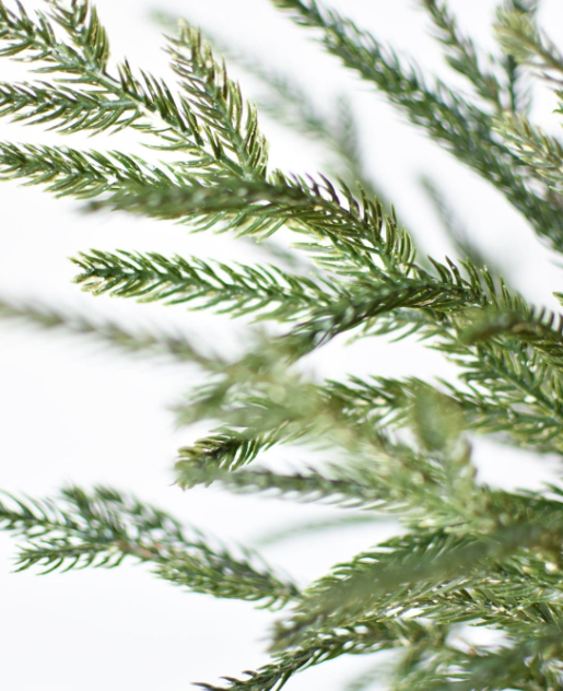 20" Faux Whitewash Green Norfolk Pine Spray Bush