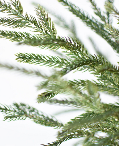 20" Faux Whitewash Green Norfolk Pine Spray Bush