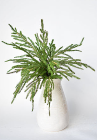 20" Faux Green Norfolk Pine Bush