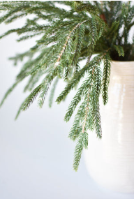 20" Faux Whitewash Green Norfolk Pine Spray Bush