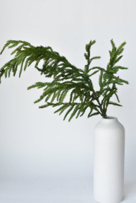 36" Real Touch Norfolk Pine Spray Stem
