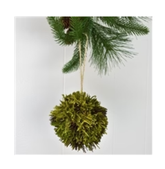 5.5" Natural Twig and Moss Ball, Moss Green