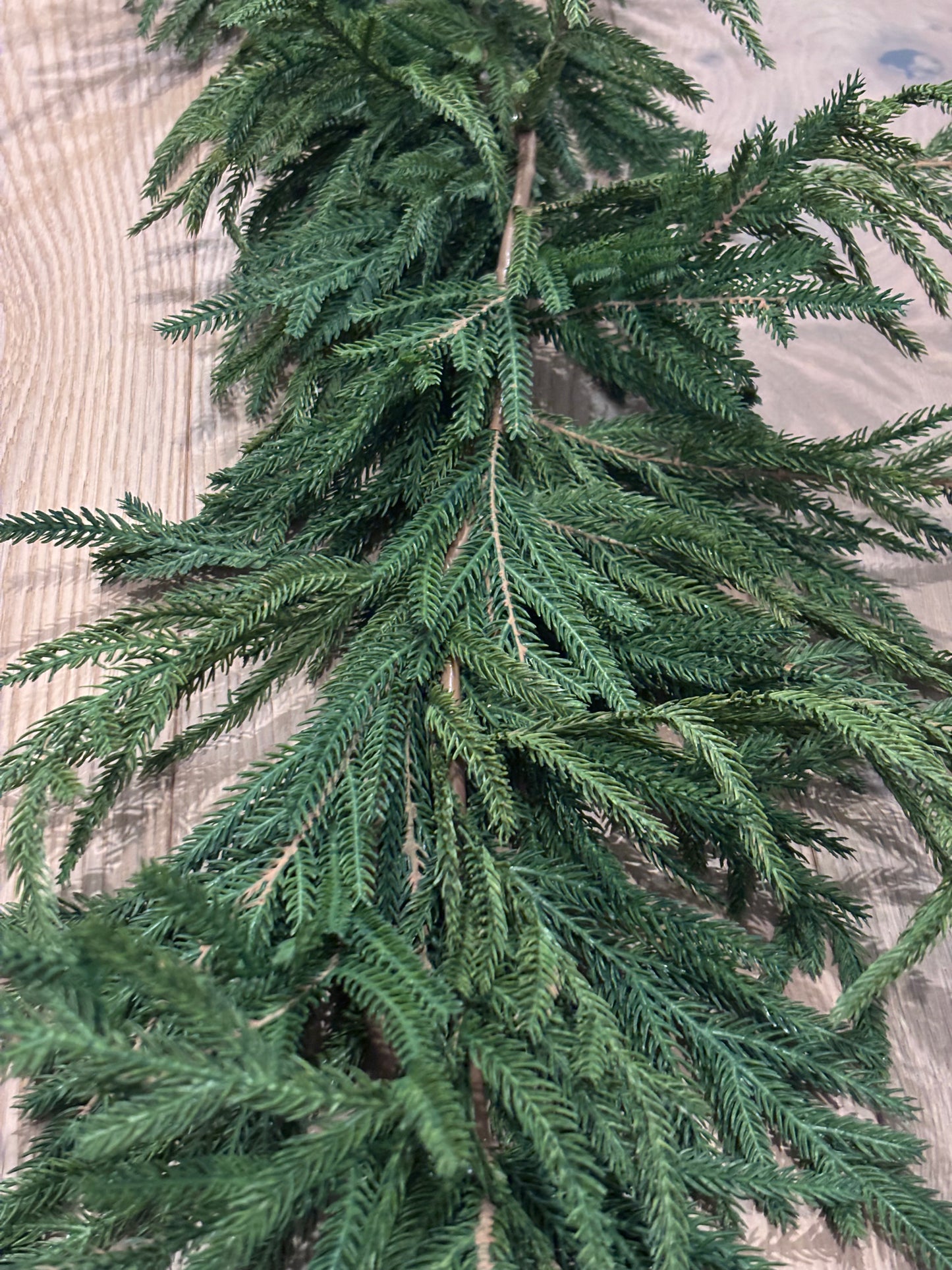 6' Deluxe Austrian Pine Garland