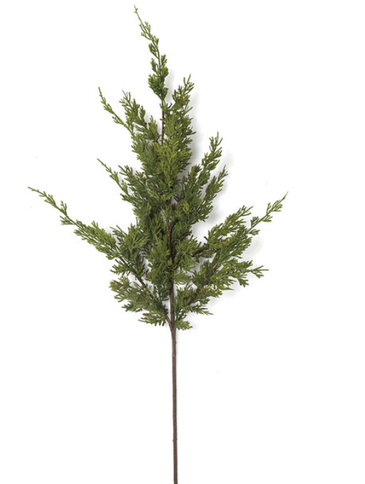 36 Inch Natural Touch Cypress Spray