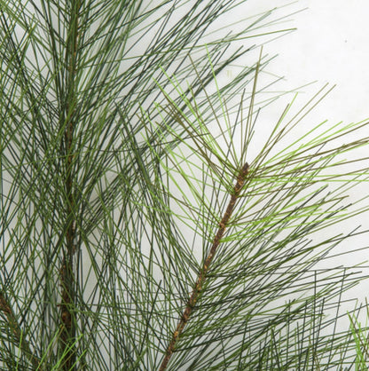 30-Inch-Long Needle PVC Pine Branch