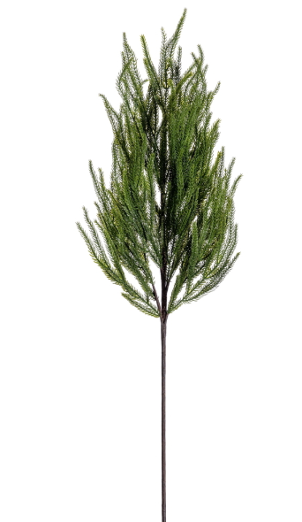 36" Green Norfolk Pine Spray (set of 2)