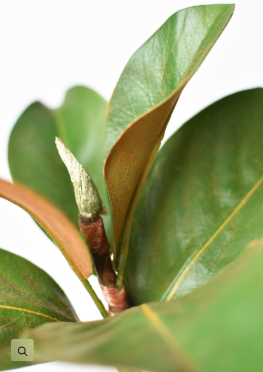 14" Faux Magnolia Leaf Stem