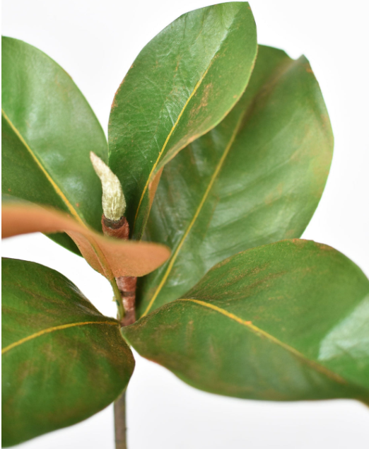 14" Faux Magnolia Leaf Stem
