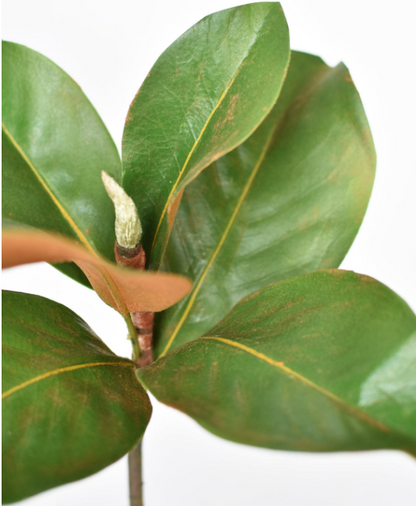 14" Faux Magnolia Leaf Stem
