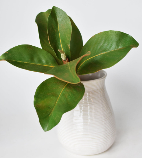 14" Faux Magnolia Leaf Stem
