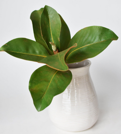 14" Faux Magnolia Leaf Stem